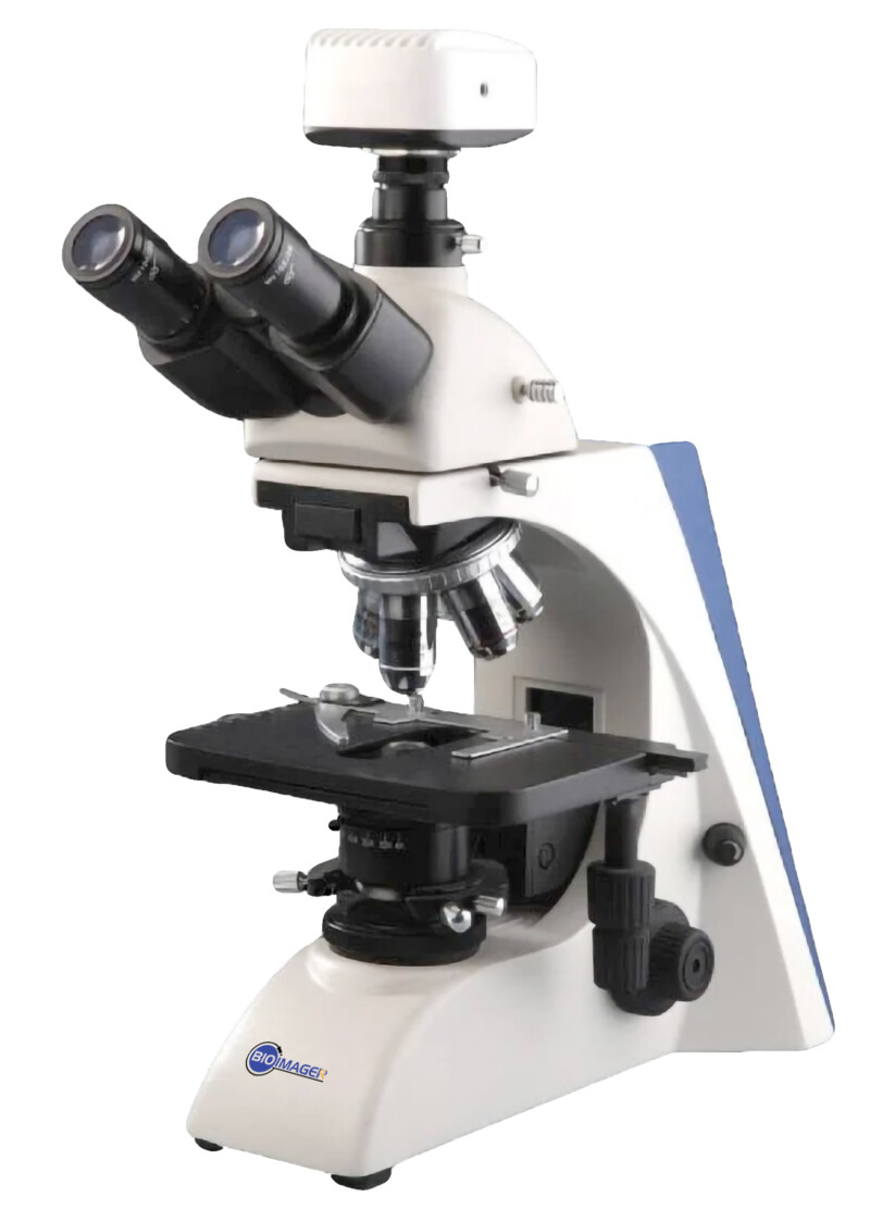 BUM400 Series Biological Microscope