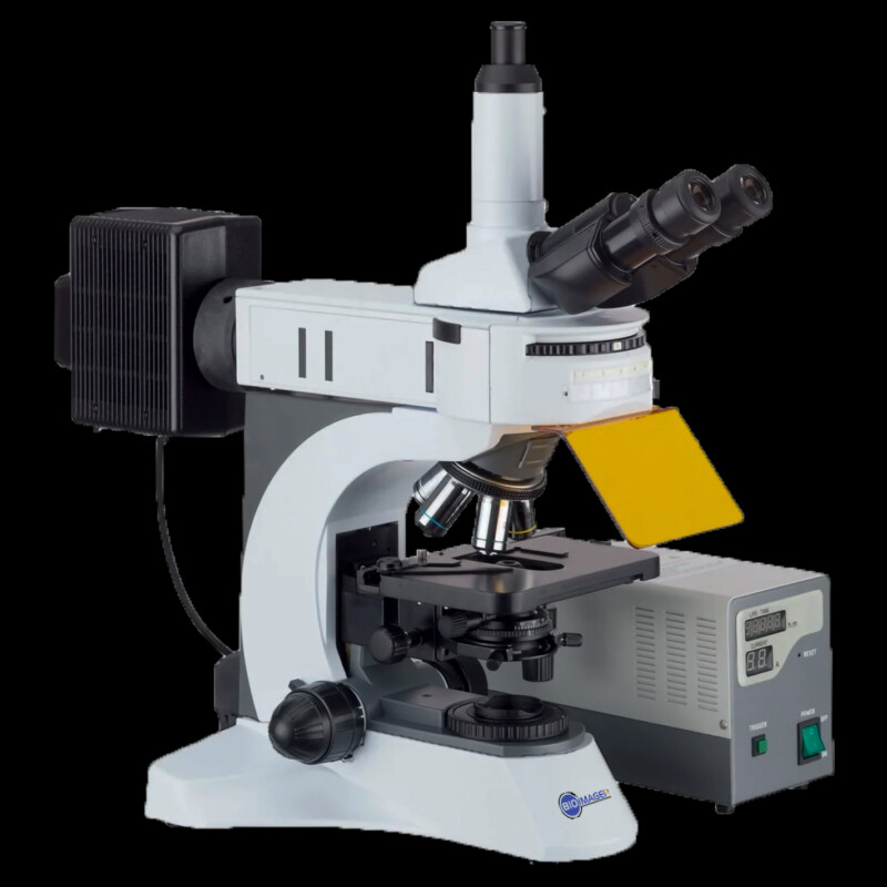 BUM500FL Epi-Fluorescence Upright Microscope - Image 3