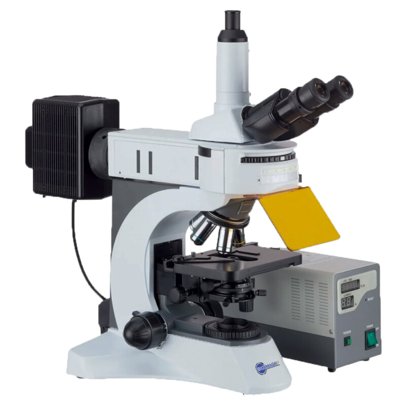 BUM500FL Epi-Fluorescence Upright Microscope - Image 2