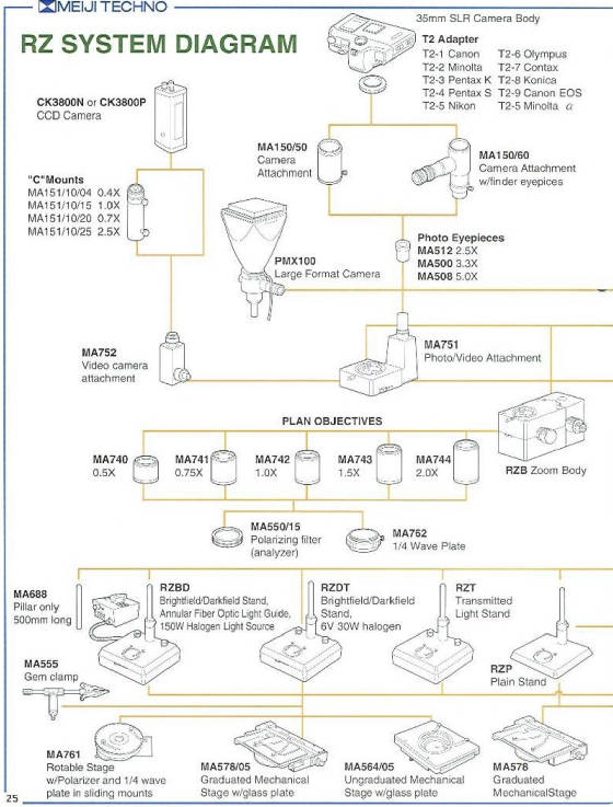 RZ diag1.jpg.w560h737
