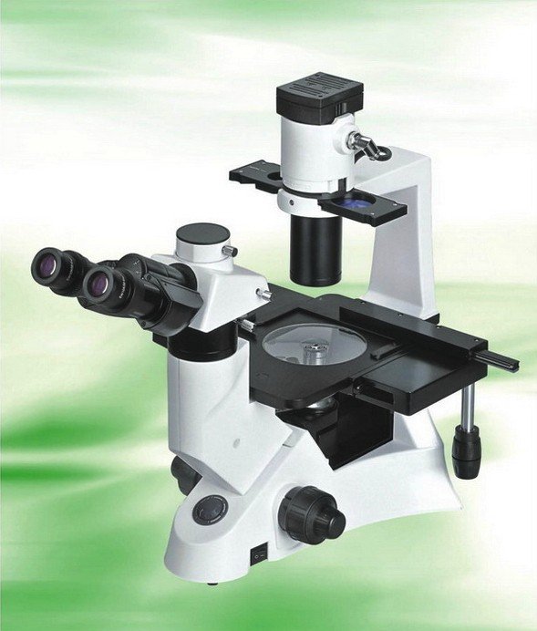 BIM500FL Inverted Epi-Fluorescent Biological Microscope