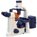 BIM-800FLS Inverted Epi-Fluorescent Biological Microscope