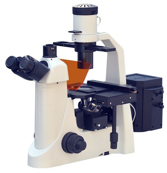 BIM-800FLS Inverted Epi-Fluorescent Biological Microscope