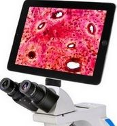 BLC-5097A Tablet Camera: 9.7" Android + 5MP Camera