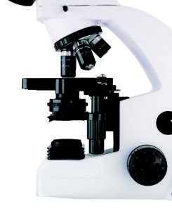 BUM240FL Biological LED Fluorescent Microscope