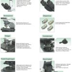 BUM500FL Epi-Fluorescence Upright Microscope
