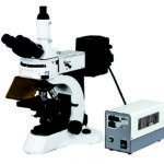 BUM500FL Epi-Fluorescence Upright Microscope