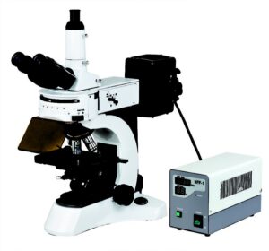 BUM500FL Epi-Fluorescence Upright Microscope