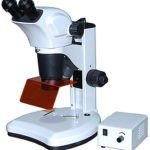 BSM300FLL LED Epi-Fluorescence Stereo Microscope