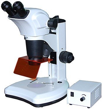 BSM300FLL LED Epi-Fluorescence Stereo Microscope