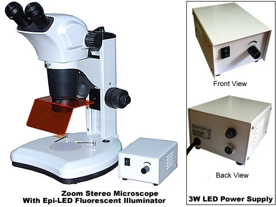 BSM300FLL Epi-Fluorescence LED Stereoscope