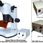 BSM300FLL LED Epi-Fluorescence Stereo Microscope