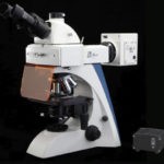 BUM400 Series Biological Microscope