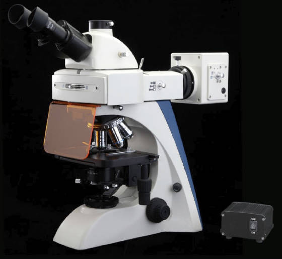 BUM400 Series Biological Microscope