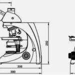 BUM400 Series Biological Microscope