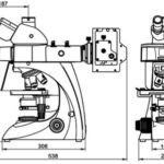 BUM400 Series Biological Microscope
