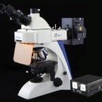BUM400 Series Biological Microscope