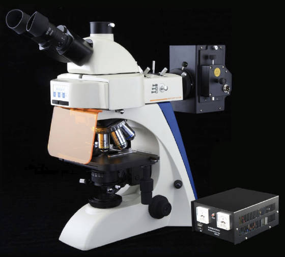 BUM400 Series Biological Microscope