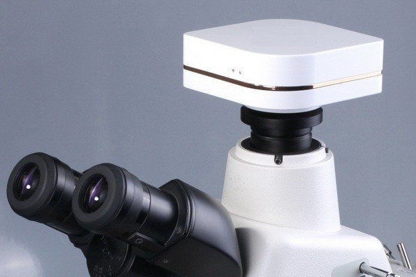 BIC-C30 3MP Color sCMOS Microscope Camera