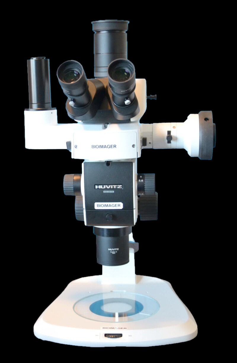 BSM780FL BIOIMAGER Epi-Fluorescence Stereoscopy Package - Image 5