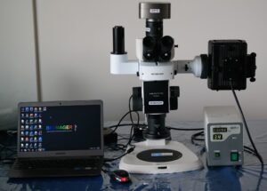 BSM780FL BIOIMAGER Epi-Fluorescence Stereoscopy Package