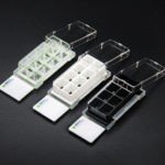 Multi-Chamber Cell Culture Slides