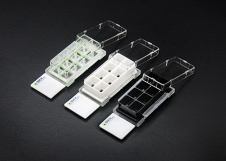 Multi-Chamber Cell Culture Slides