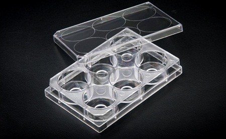 30106 Confocal Glass-Bottom 6-Well Plate
