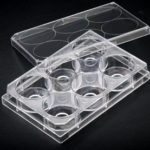 30206 Confocal Glass-Bottom 6-Well Plate