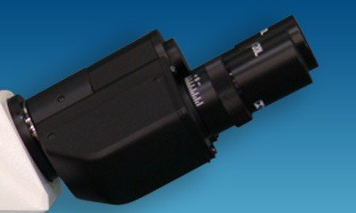 MT6120 & MT6130 Polarizing Asbestos Microscope for Fiber Identification -10638