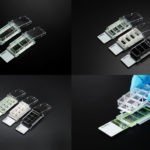 Multi-Chamber Cell Culture Slides
