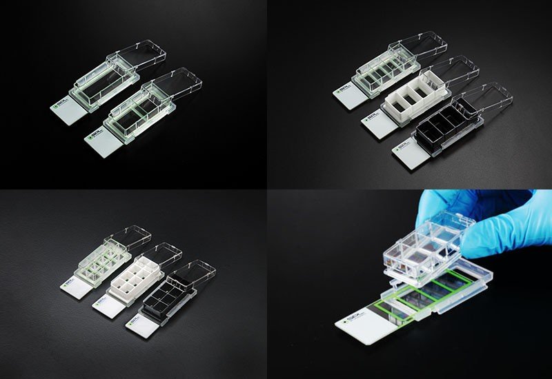 Multi-Chamber Cell Culture Slides