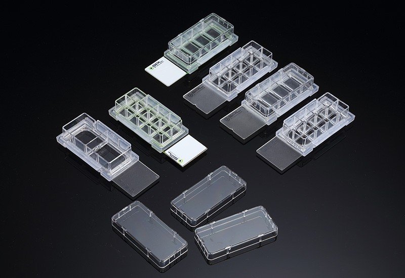 Multi-Chamber Cell Culture Slides