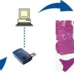 BioScan-600 Digital Pathology/Histology/Geology Slide Scanner