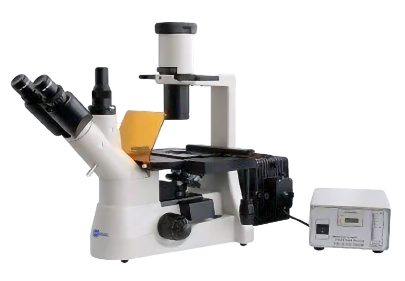 BIM550FL Inverted Epi-Fluorescnce Biological Microscope