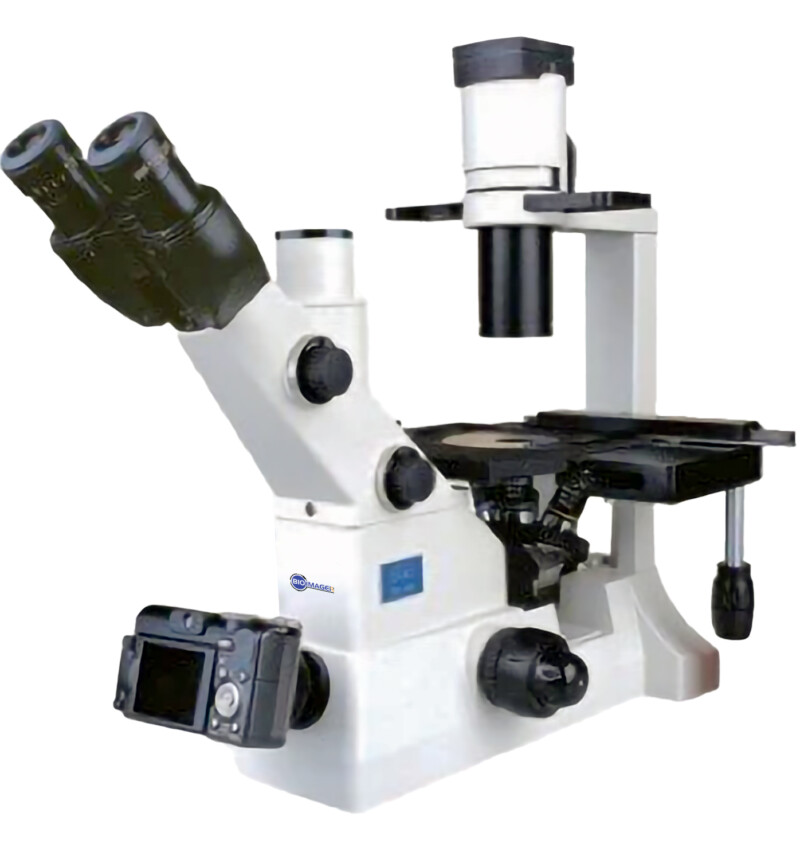 BIM600FL Inverted Epi-Fluorescnce Biological Microscope