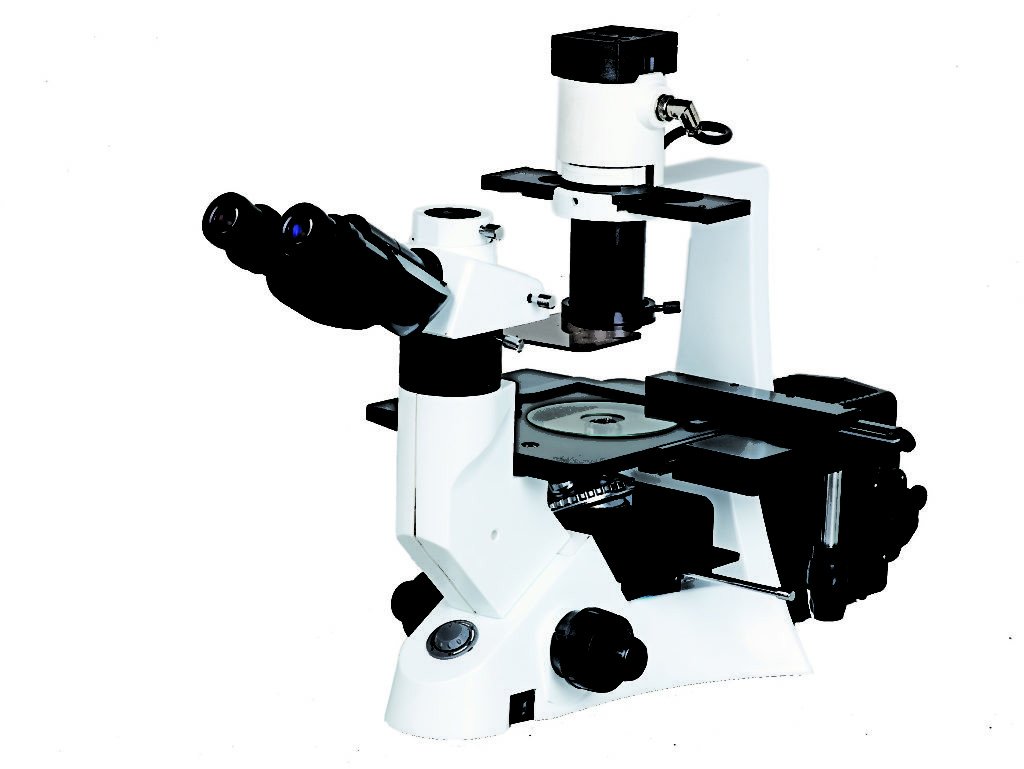 BIM500FL Inverted Epi-Fluorescnce Biological Microscope