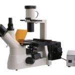 BIM550FL Inverted Epi-Fluorescnce Biological Microscope