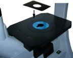 BIM550FL Inverted Epi-Fluorescnce Biological Microscope