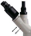 BIM550FL Inverted Epi-Fluorescnce Biological Microscope