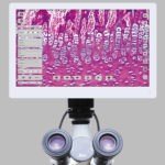 Retina Display Camera for any microscope