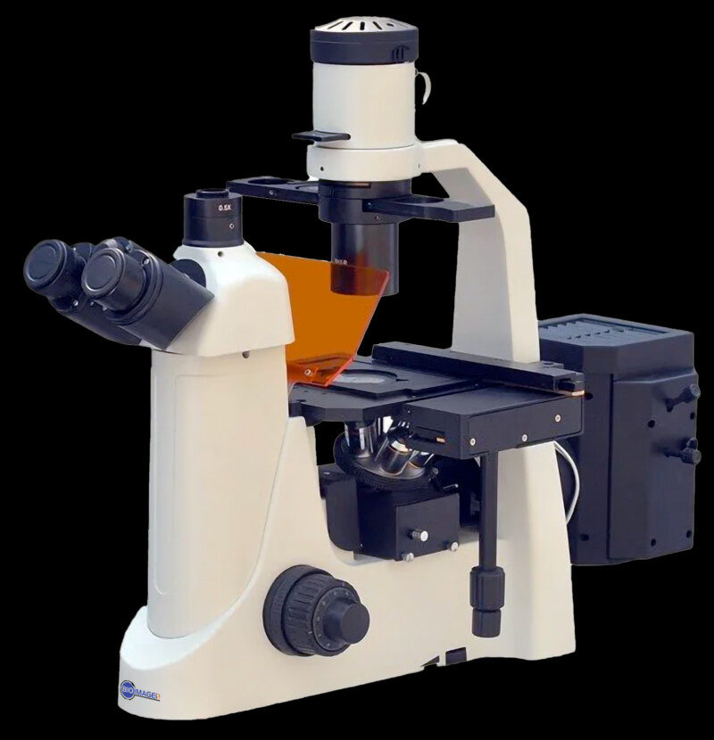 BIM800FLS Inverted Epi-Fluorescnce Biological Microscope - Image 3