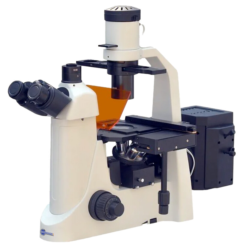 BIM800FLS Inverted Epi-Fluorescnce Biological Microscope