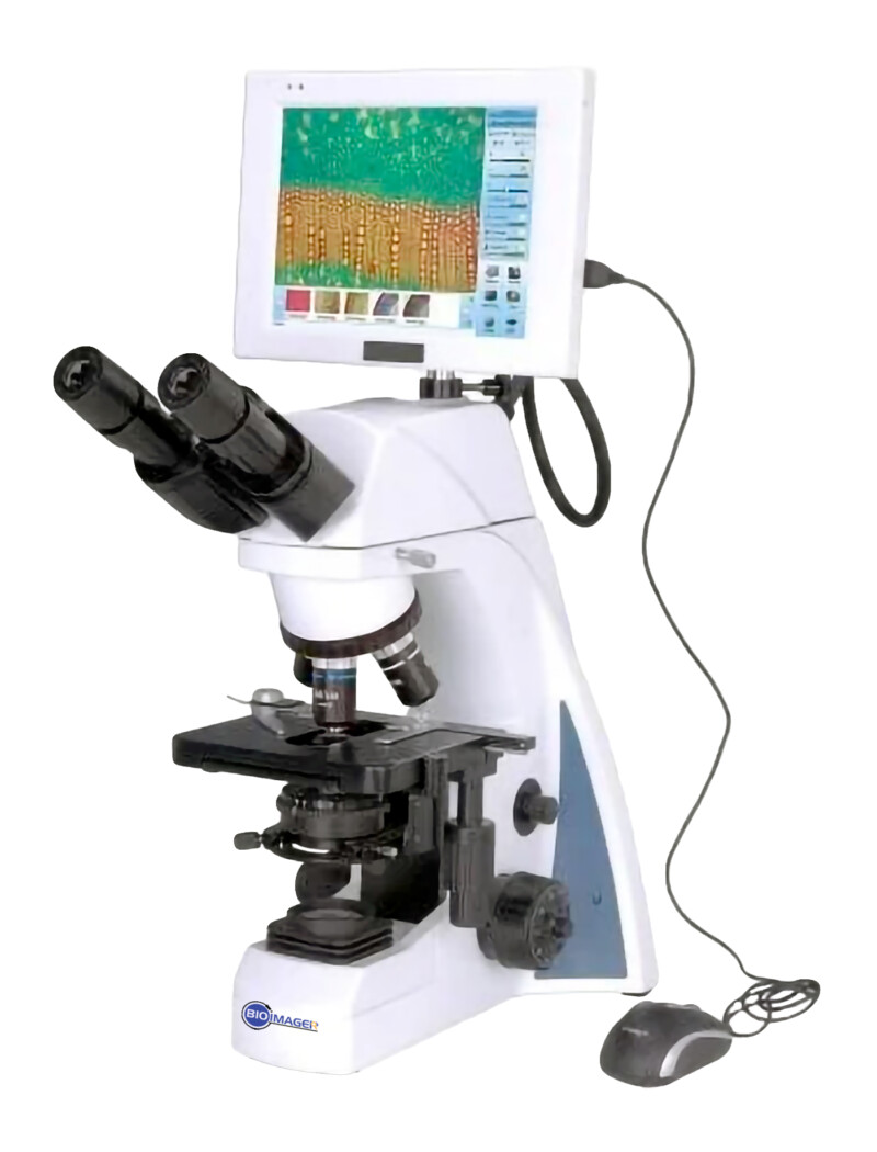 BUM280L Digital LCD Upright Biological Microscope