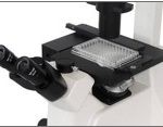 Universal Manual XY Stage for inverted biological microscopes