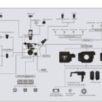 BIM800FLW Inverted Epi-Fluorescence Biological Microscope