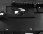 Universal Manual XY Stage for inverted biological microscopes