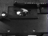 Universal Manual XY Stage for inverted biological microscopes