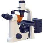 BIM800FLS Inverted Epi-Fluorescnce Biological Microscope