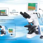 BUM280L Digital LCD Upright Biological Microscope